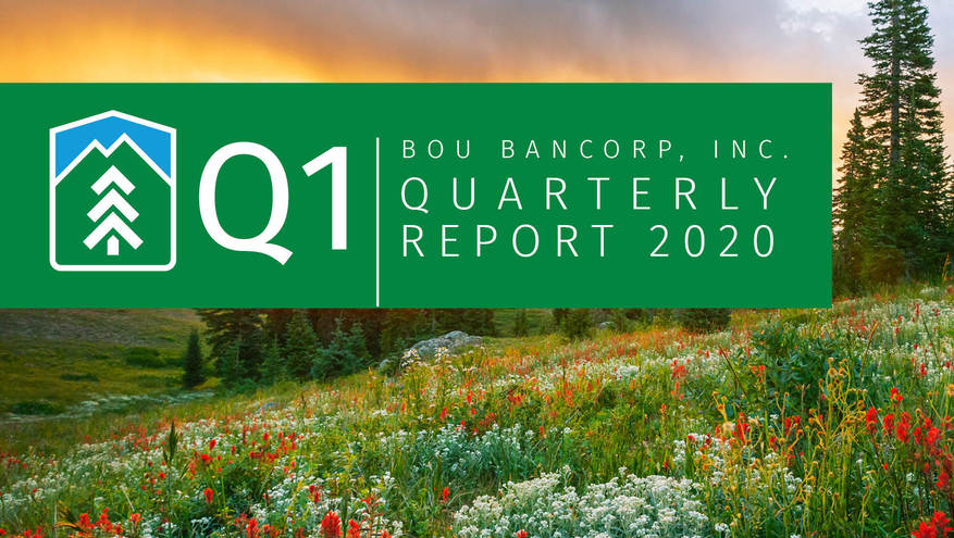 Graphic with the text Q1 2020 Quarterly Report