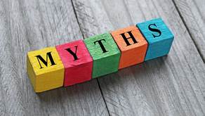 Fraud Myths
